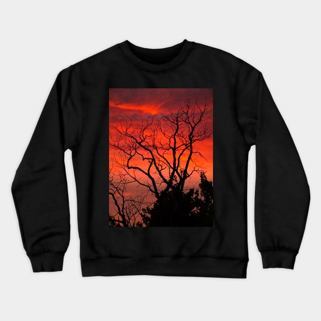 Sunset Crewneck Sweatshirt by JohnStanton